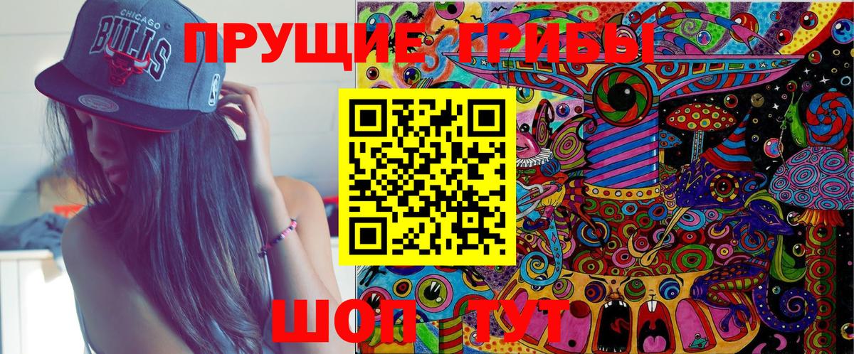 Галлюциногенные грибы Psilocybine cubensis Новоуральск